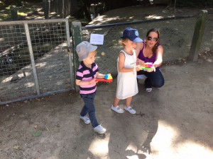 IMG_7139