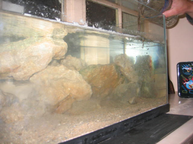 CRW 3601 un aquarium deau de mer à lécole !!!