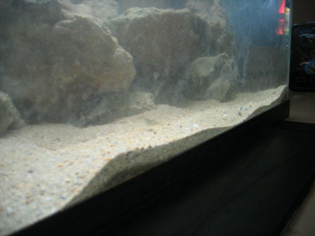 CRW 3604 un aquarium deau de mer à lécole !!!