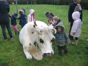 ecole sainte marie ferme 10112016 (10)