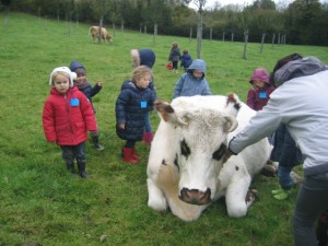 ecole sainte marie ferme 10112016 (12)