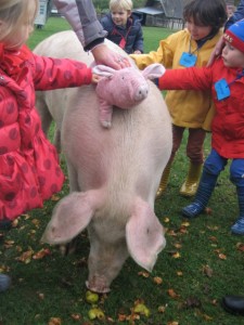 ecole sainte marie ferme 10112016 (17)