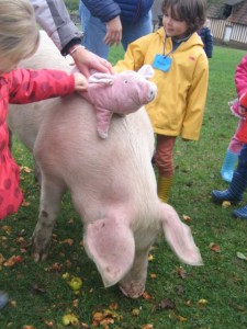 ecole sainte marie ferme 10112016 (18)