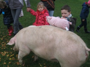 ecole sainte marie ferme 10112016 (20)