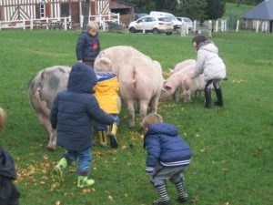 ecole sainte marie ferme 10112016 (21)