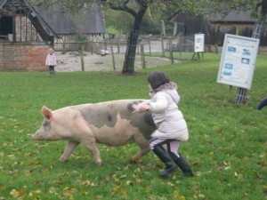 ecole sainte marie ferme 10112016 (22)