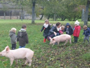 ecole sainte marie ferme 10112016 (23)