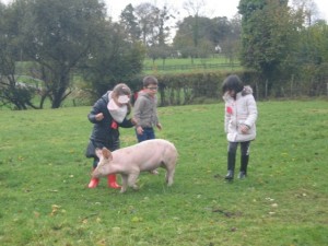 ecole sainte marie ferme 10112016 (24)