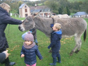 ecole sainte marie ferme 10112016 (25)