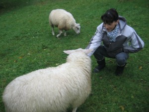 ecole sainte marie ferme 10112016 (6)