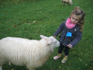 ecole sainte marie ferme 10112016 (7)