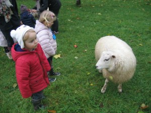 ecole sainte marie ferme 10112016 (8)