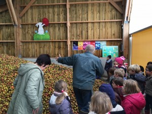 ferme ecole sainte marie (9)